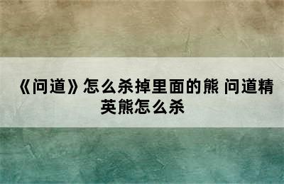 《问道》怎么杀掉里面的熊 问道精英熊怎么杀